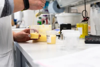 lebensmittelanalyse ananas DSC 5205 1199x800